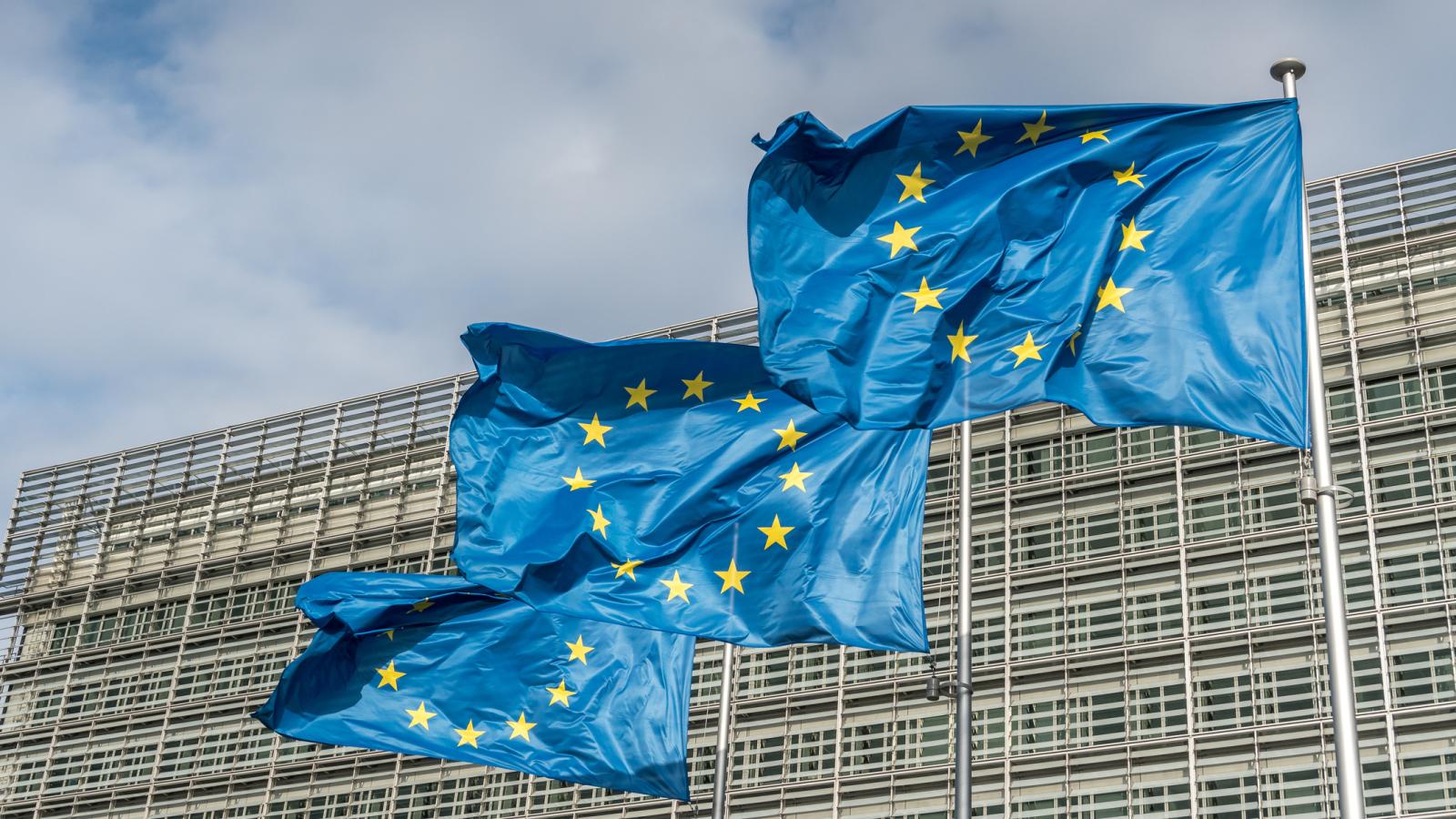 The flag of the European Union