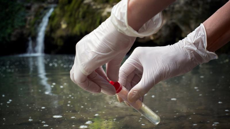 Water quality analysis, September 26, 2022. 