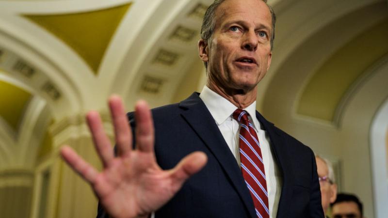 John Thune