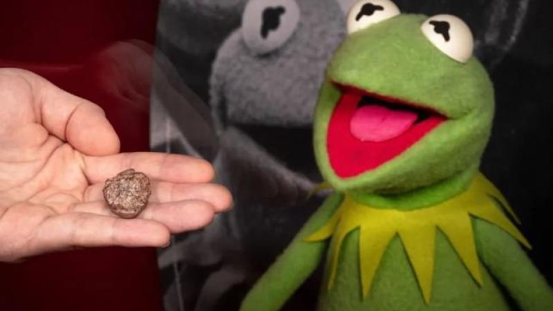 Kermit the Frog